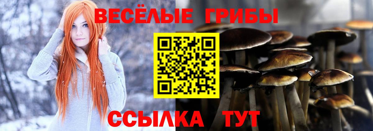 Псилоцибиновые грибы Psilocybine cubensis Рассказово