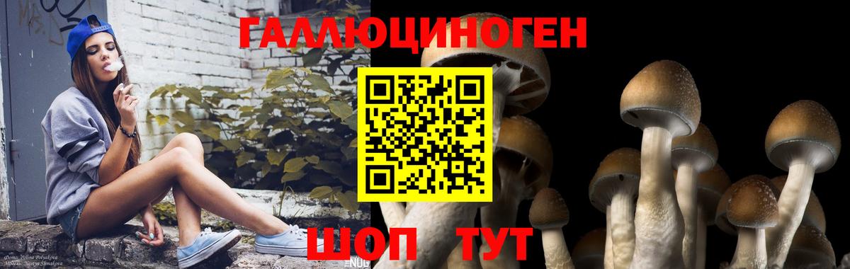 Рассказово  Псилоцибиновые грибы Psilocybe  Вход с VPN 
